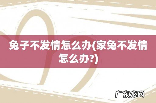 家兔不发情怎么办? 兔子不发情怎么办