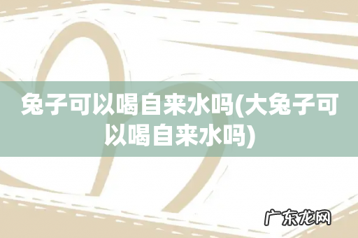大兔子可以喝自来水吗 兔子可以喝自来水吗