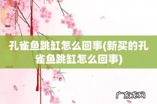 新买的孔雀鱼跳缸怎么回事 孔雀鱼跳缸怎么回事