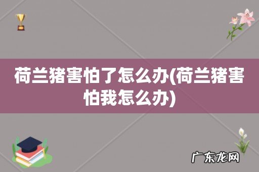 荷兰猪害怕我怎么办 荷兰猪害怕了怎么办