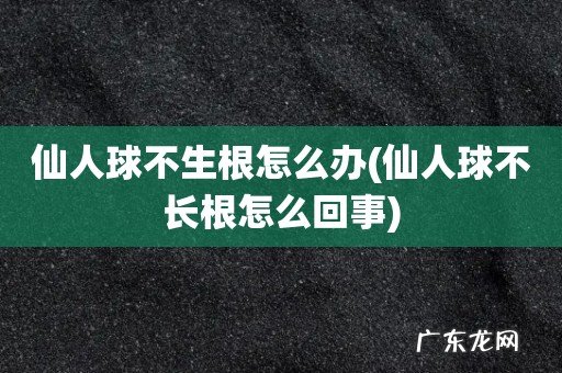 仙人球不长根怎么回事 仙人球不生根怎么办