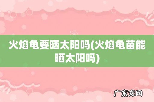 火焰龟苗能晒太阳吗 火焰龟要晒太阳吗