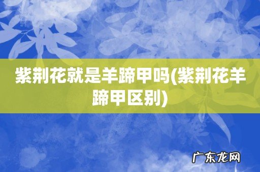 紫荆花羊蹄甲区别 紫荆花就是羊蹄甲吗