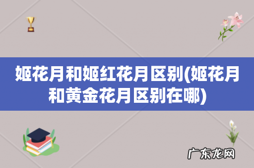 姬花月和黄金花月区别在哪 姬花月和姬红花月区别