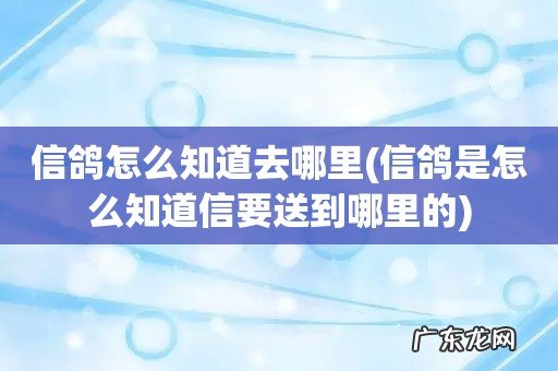 信鸽是怎么知道信要送到哪里的 信鸽怎么知道去哪里