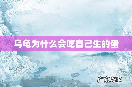 乌龟为什么会吃自己生的蛋