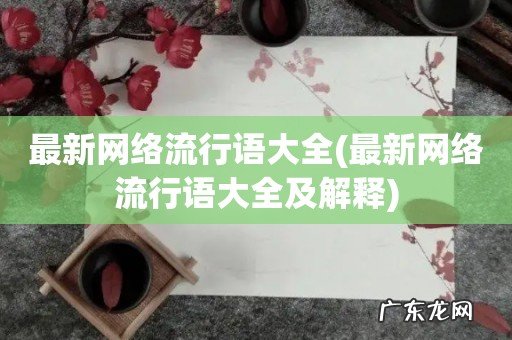 最新网络流行语大全及解释 最新网络流行语大全