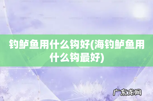 海钓鲈鱼用什么钩最好 钓鲈鱼用什么钩好