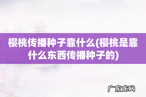 樱桃是靠什么东西传播种子的 樱桃传播种子靠什么