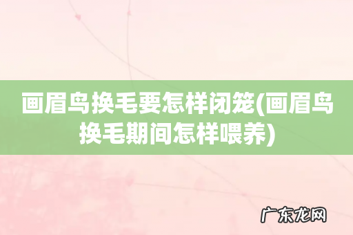 画眉鸟换毛期间怎样喂养 画眉鸟换毛要怎样闭笼