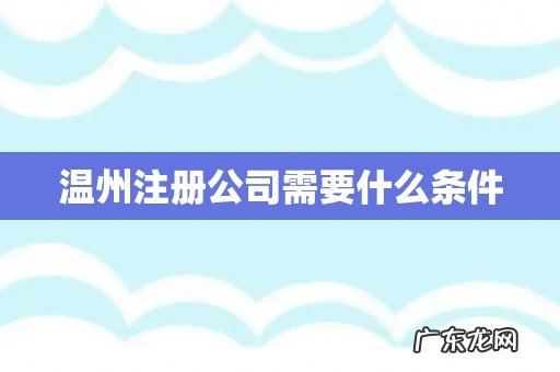 温州注册公司需要什么条件