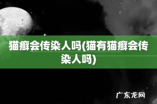 猫有猫癣会传染人吗 猫癣会传染人吗