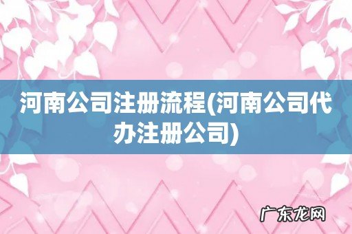 河南公司代办注册公司 河南公司注册流程