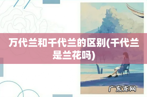 千代兰是兰花吗 万代兰和千代兰的区别