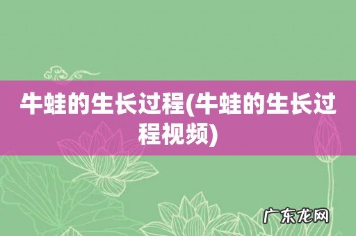 牛蛙的生长过程视频 牛蛙的生长过程