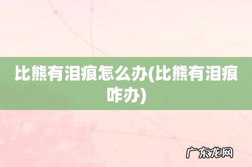 比熊有泪痕咋办 比熊有泪痕怎么办