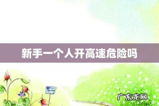 新手一个人开高速危险吗