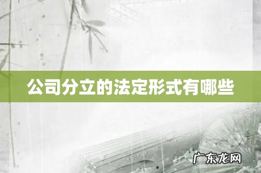 公司分立的法定形式有哪些