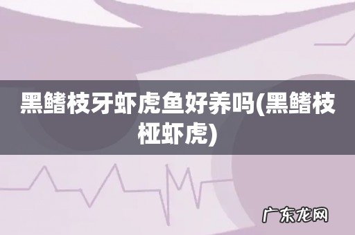 黑鳍枝桠虾虎 黑鳍枝牙虾虎鱼好养吗