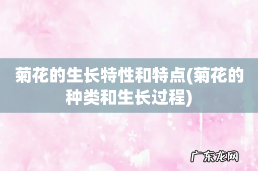 菊花的种类和生长过程 菊花的生长特性和特点