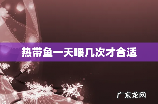 热带鱼一天喂几次才合适