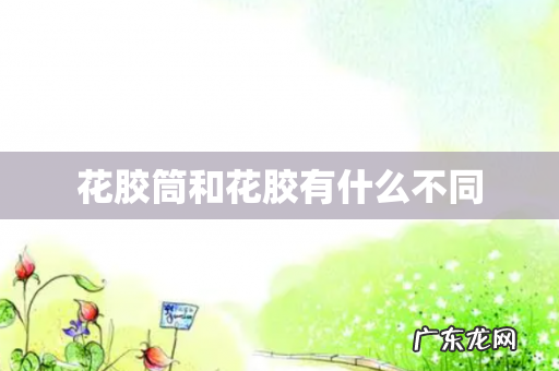 花胶筒和花胶有什么不同