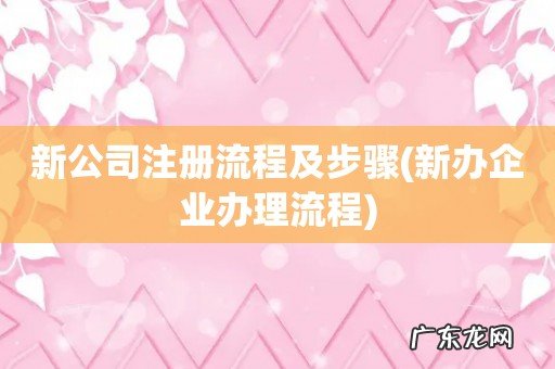 新办企业办理流程 新公司注册流程及步骤