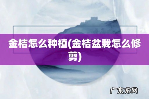 金桔盆栽怎么修剪 金桔怎么种植