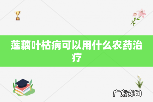 莲藕叶枯病可以用什么农药治疗