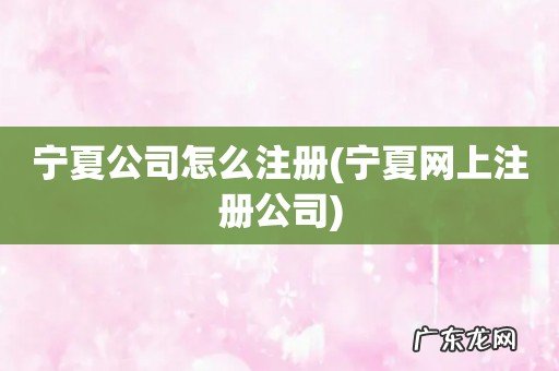 宁夏网上注册公司 宁夏公司怎么注册