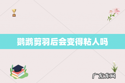 鹦鹉剪羽后会变得粘人吗