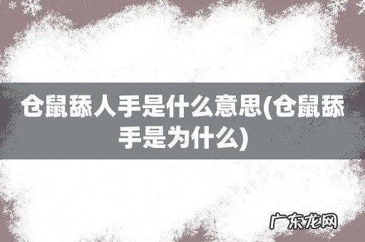 仓鼠舔手是为什么 仓鼠舔人手是什么意思