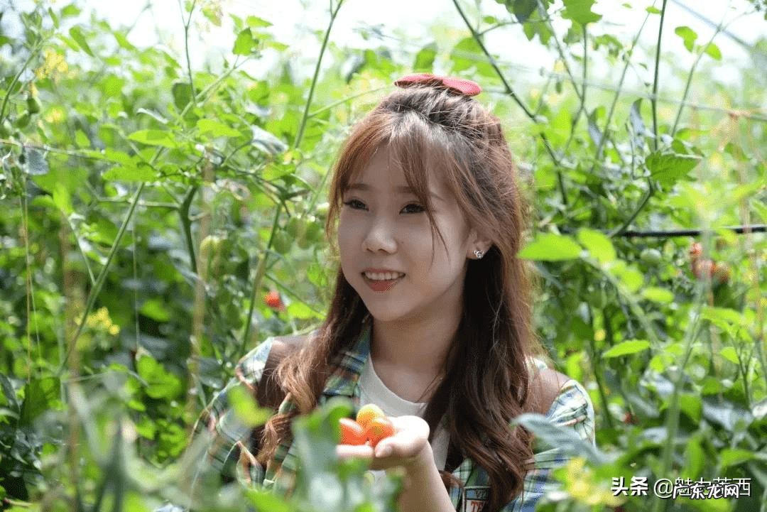 莱西哪里风景好 莱西哪个小区风水好