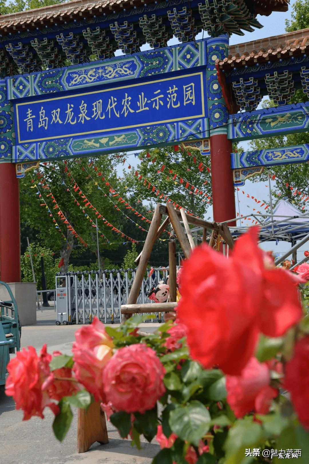 莱西哪里风景好 莱西哪个小区风水好