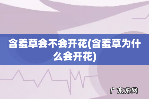 含羞草为什么会开花 含羞草会不会开花