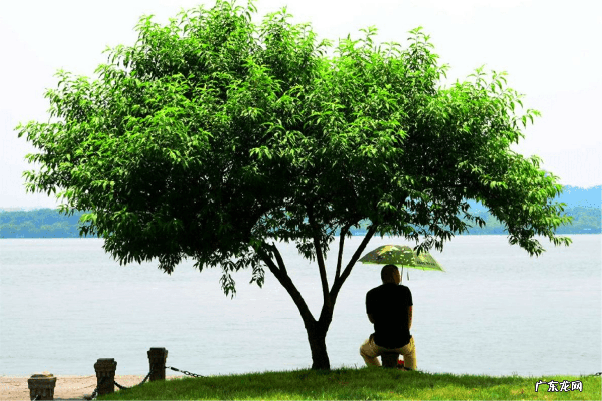 房子北面放什么风水好 房子北方有水风水