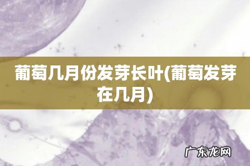 葡萄发芽在几月 葡萄几月份发芽长叶