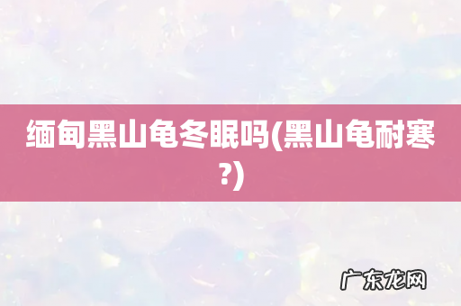 黑山龟耐寒? 缅甸黑山龟冬眠吗