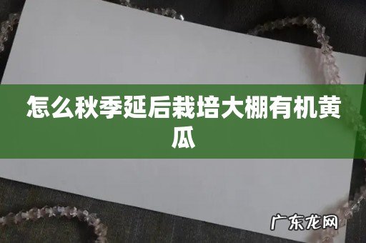 怎么秋季延后栽培大棚有机黄瓜