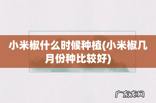小米椒几月份种比较好 小米椒什么时候种植