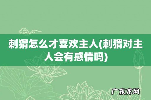 刺猬对主人会有感情吗 刺猬怎么才喜欢主人