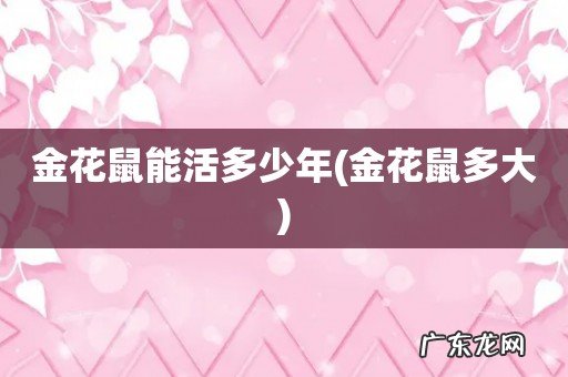 金花鼠多大 金花鼠能活多少年