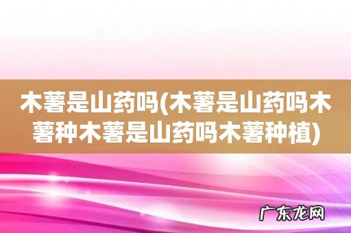 木薯是山药吗木薯种木薯是山药吗木薯种植 木薯是山药吗
