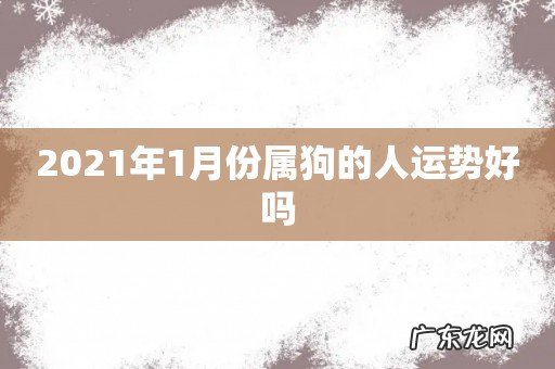 2021年1月份属狗的人运势好吗