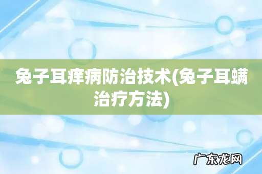 兔子耳螨治疗方法 兔子耳痒病防治技术
