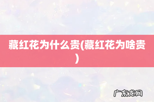 藏红花为啥贵 藏红花为什么贵