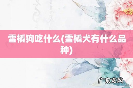 雪橇犬有什么品种 雪橇狗吃什么