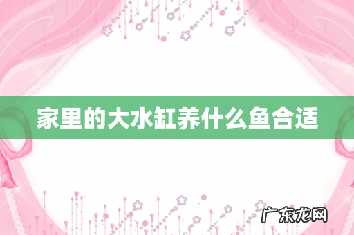 家里的大水缸养什么鱼合适