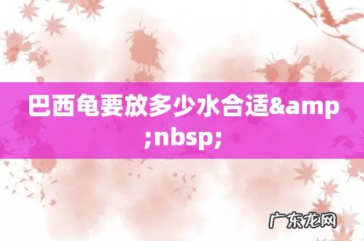 巴西龟要放多少水合适 