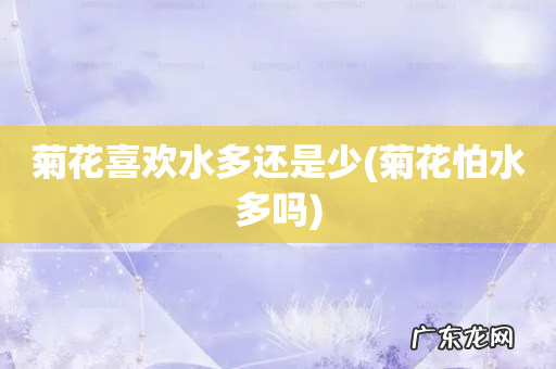 菊花怕水多吗 菊花喜欢水多还是少